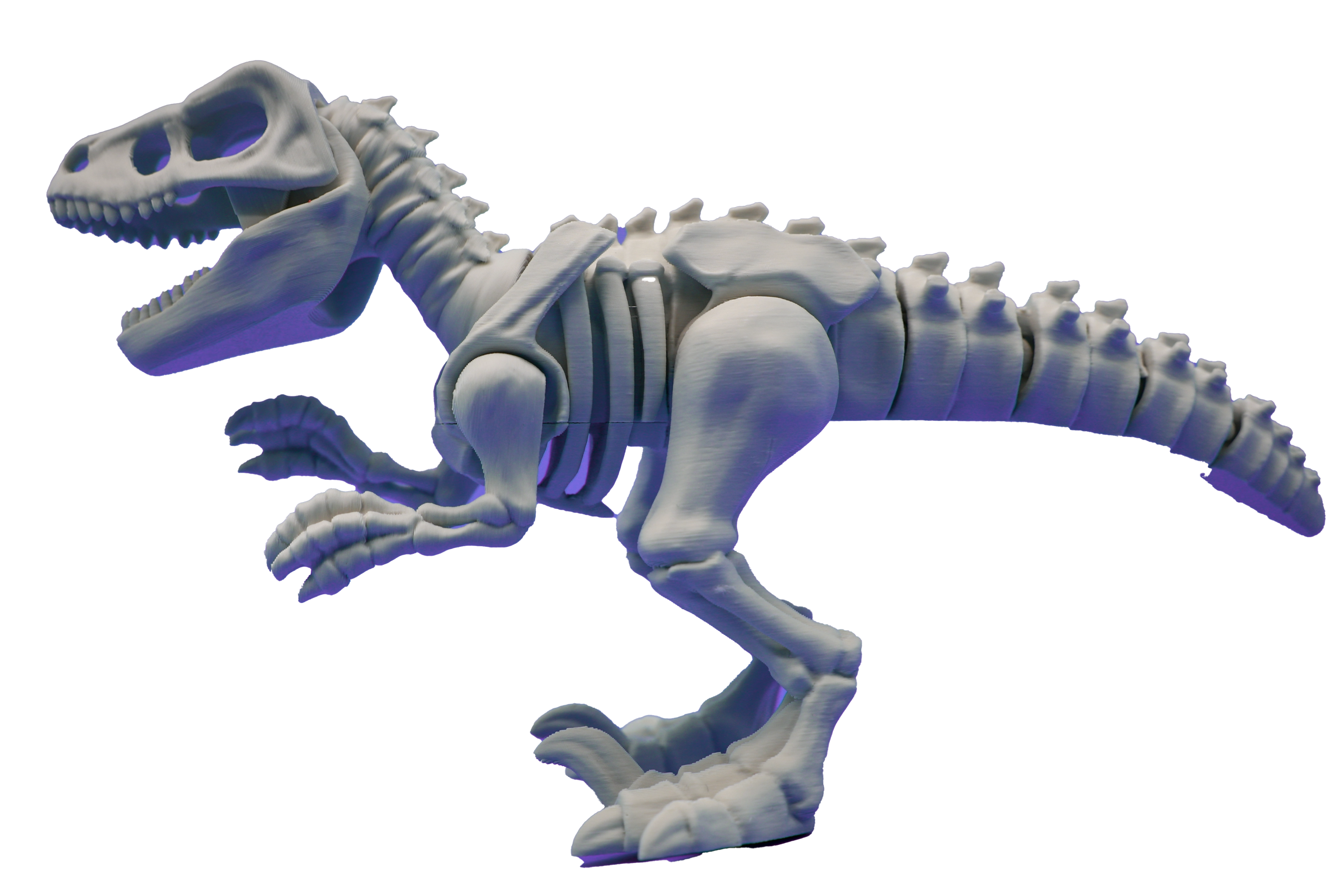Dinosaurs